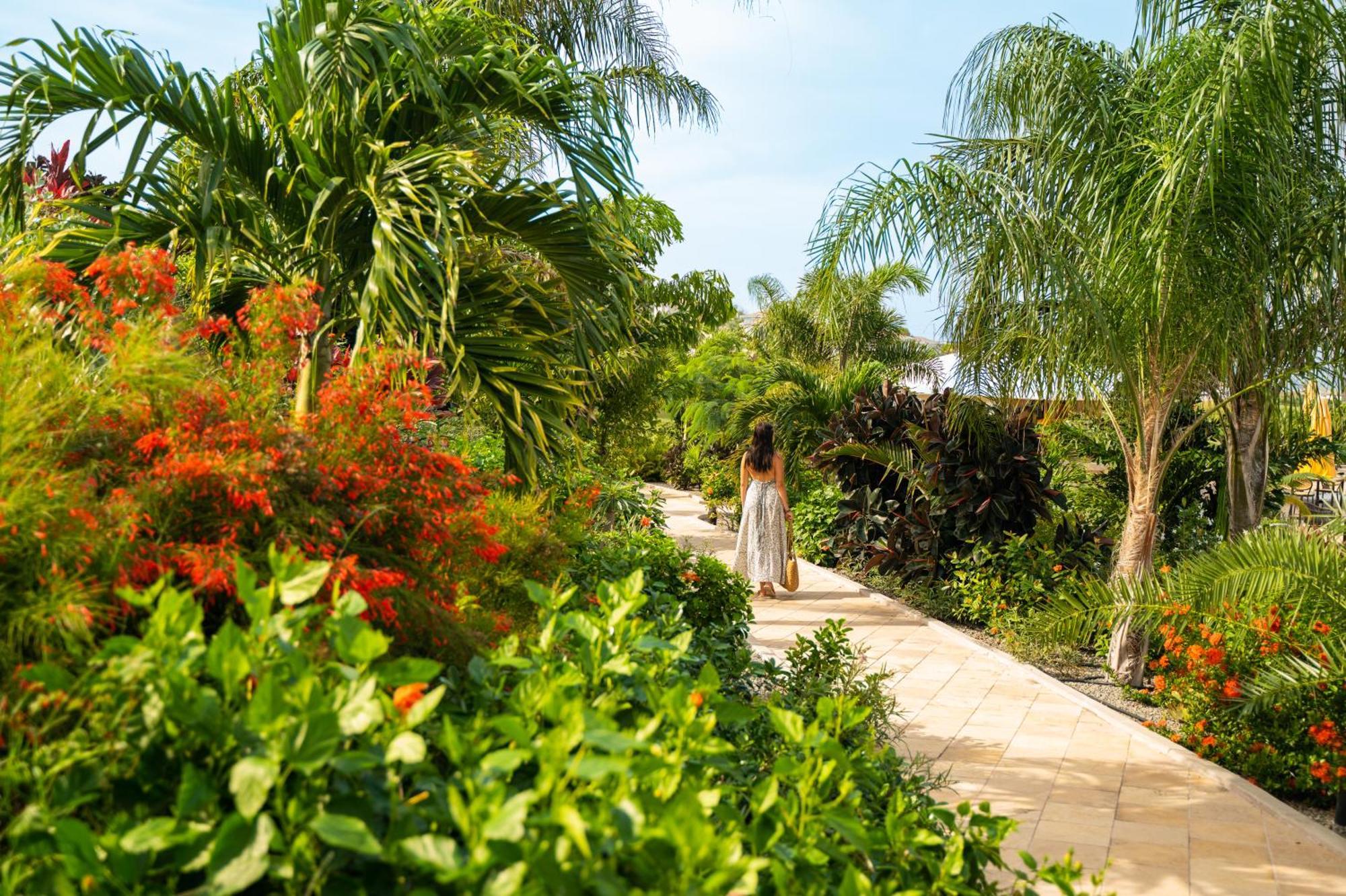 Golden Rock Dive And Nature Resort Oranjestad  Ngoại thất bức ảnh